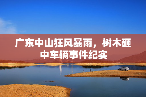 广东中山狂风暴雨，树木砸中车辆事件纪实