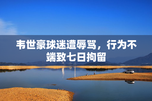 韦世豪球迷遭辱骂，行为不端致七日拘留