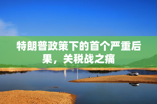 特朗普政策下的首个严重后果，关税战之痛