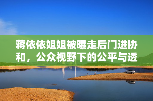 蒋依依姐姐被曝走后门进协和，公众视野下的公平与透明