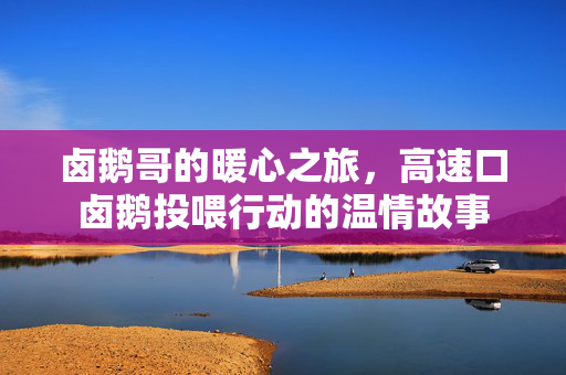 卤鹅哥的暖心之旅，高速口卤鹅投喂行动的温情故事