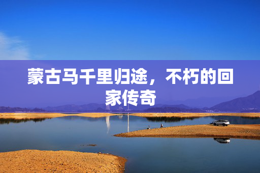 蒙古马千里归途，不朽的回家传奇