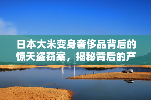 日本大米变身奢侈品背后的惊天盗窃案，揭秘背后的产业链与真相