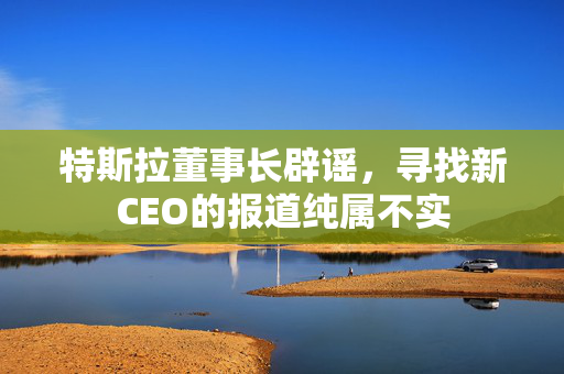 特斯拉董事长辟谣，寻找新CEO的报道纯属不实