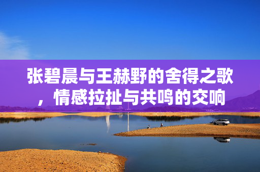 张碧晨与王赫野的舍得之歌，情感拉扯与共鸣的交响