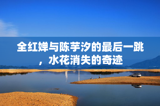 全红婵与陈芋汐的最后一跳，水花消失的奇迹