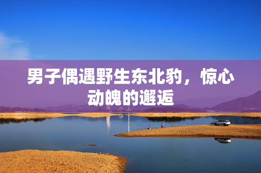 男子偶遇野生东北豹，惊心动魄的邂逅