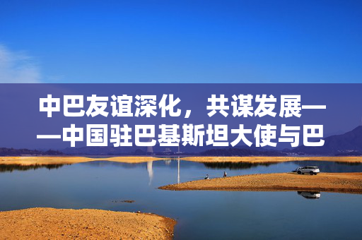 中巴友谊深化，共谋发展——中国驻巴基斯坦大使与巴总理会面纪实