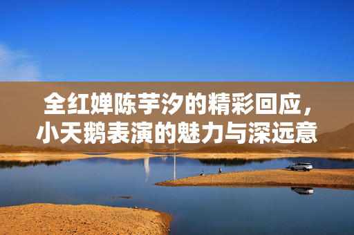 全红婵陈芋汐的精彩回应，小天鹅表演的魅力与深远意义