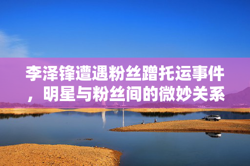 李泽锋遭遇粉丝蹭托运事件，明星与粉丝间的微妙关系揭秘。