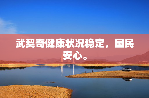 武契奇健康状况稳定，国民安心。