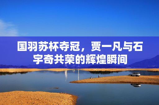 国羽苏杯夺冠，贾一凡与石宇奇共荣的辉煌瞬间