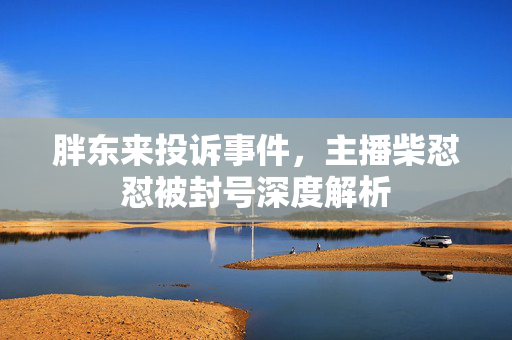 胖东来投诉事件，主播柴怼怼被封号深度解析