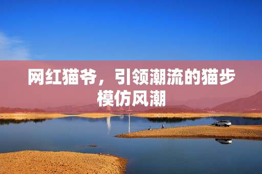 网红猫爷，引领潮流的猫步模仿风潮